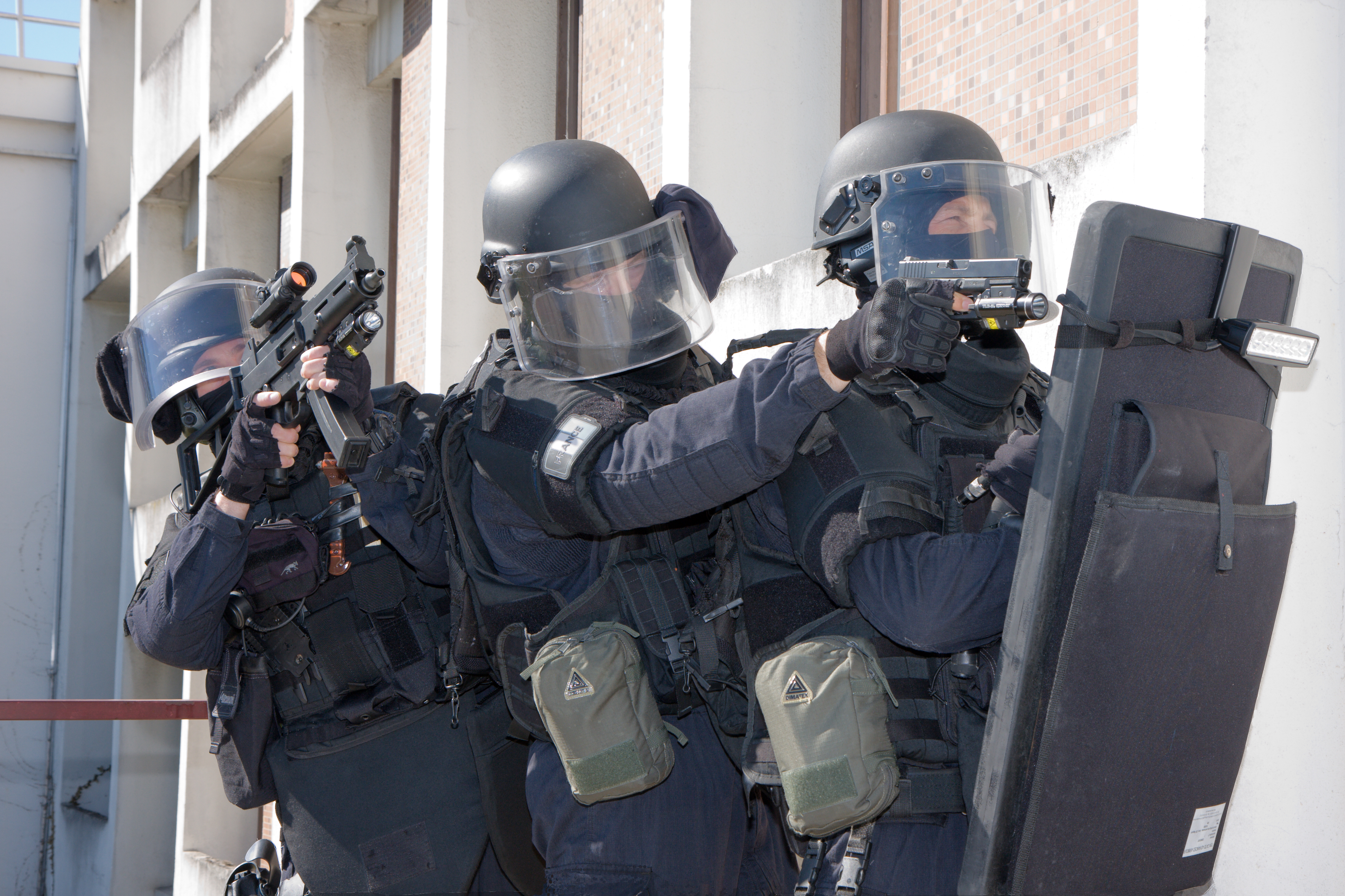 Unités Spéciales GIGN BRI